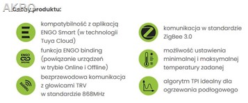 E20BBATZB Internetowy n/t bateryjny regul. temp.