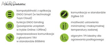 E20WBATZB Internetowy n/t bateryjny regul. temp.